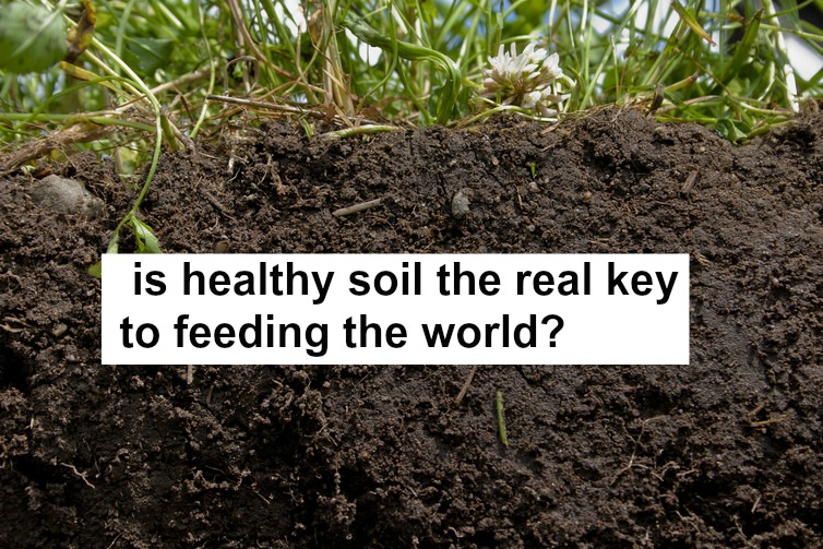 healthy soil