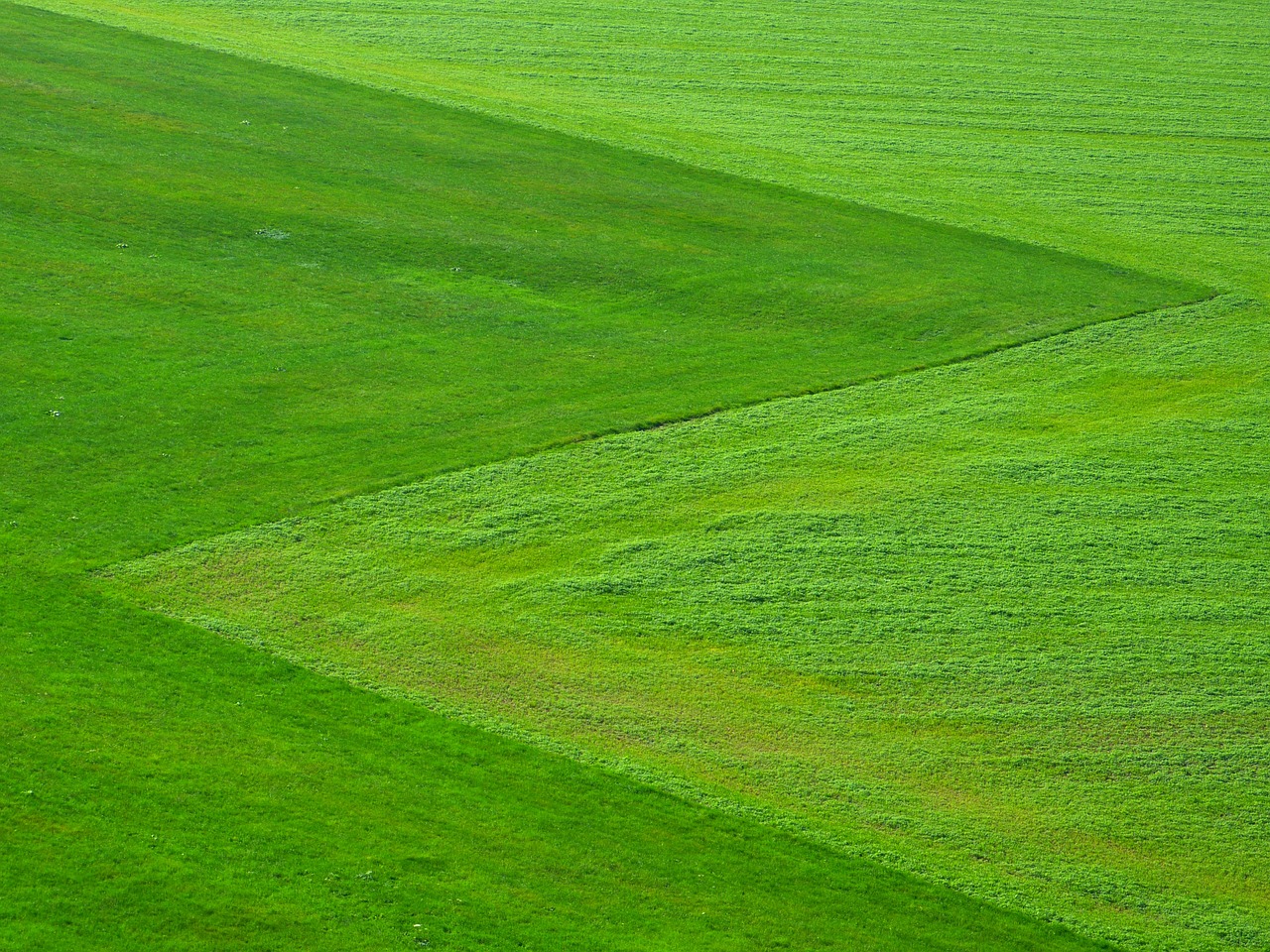 meadow-196567_1280 meadow-196567_1280