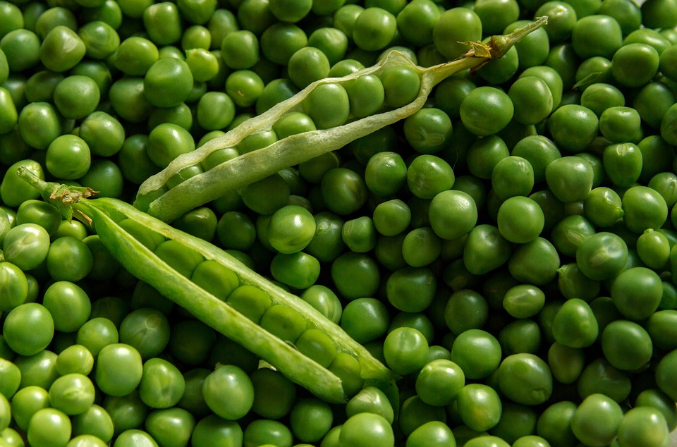organic farming organic farming