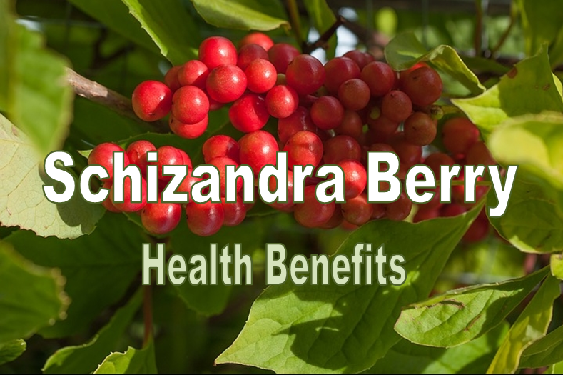 schizandra-health-benefits schizandra-health-benefits
