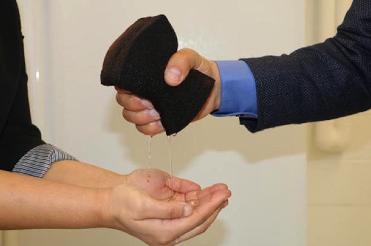 sponge1 sponge1