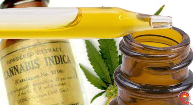 Cannabis-Oil-1 Cannabis-Oil-1
