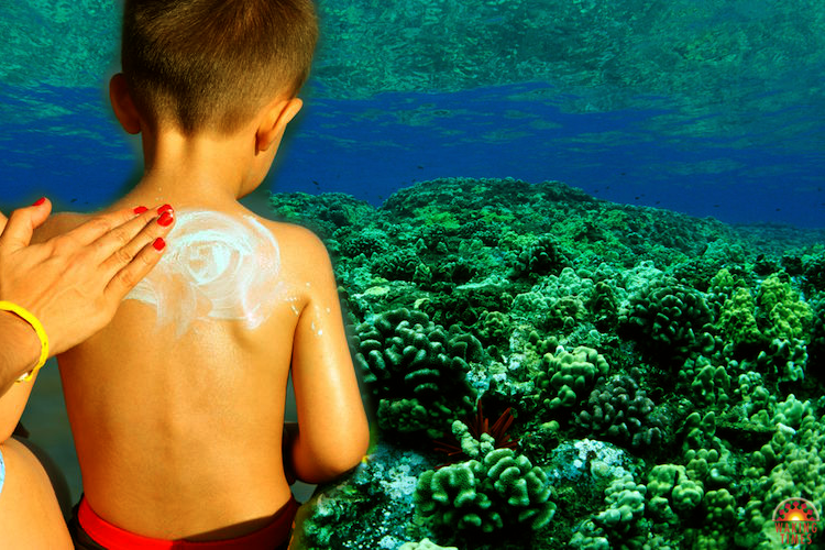 Hawaii-Sunscreen-Coral-Reefs Hawaii-Sunscreen-Coral-Reefs