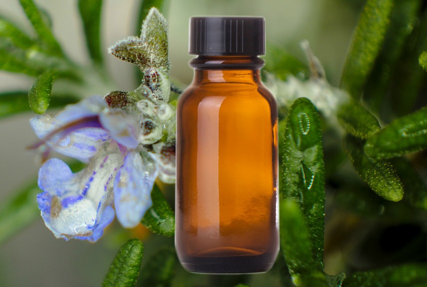rosemary essential oil for memory