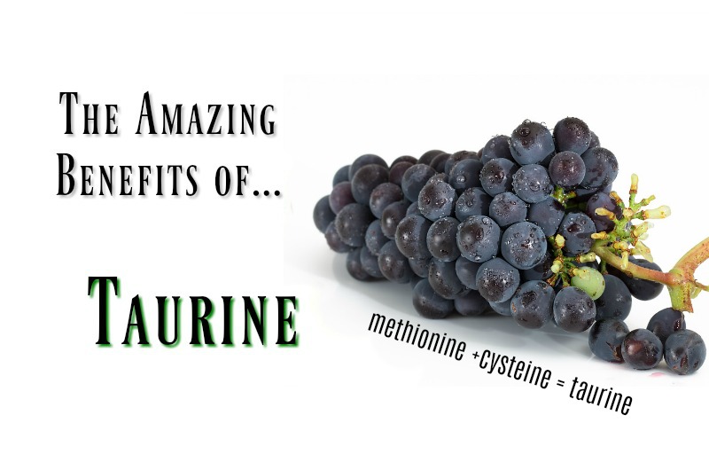 taurine-benefits-food-sources taurine-benefits-food-sources