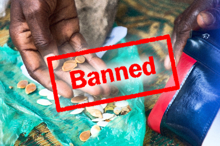 Monsanto and Big Ag Colonizing Africa, Criminalizing Traditional Seed Exchanges