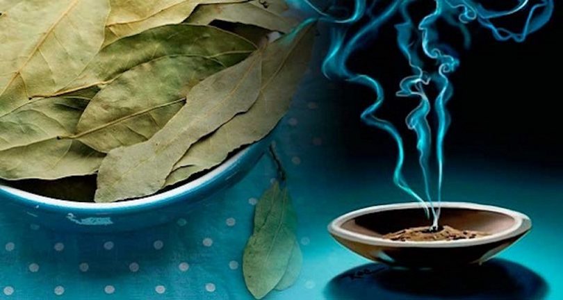 Burn-Bay-Leaves-in-the-House-and-See-What-Happens-After-10-Minutes