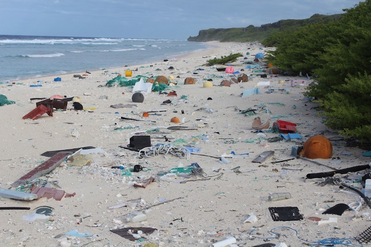 Henderson-Island