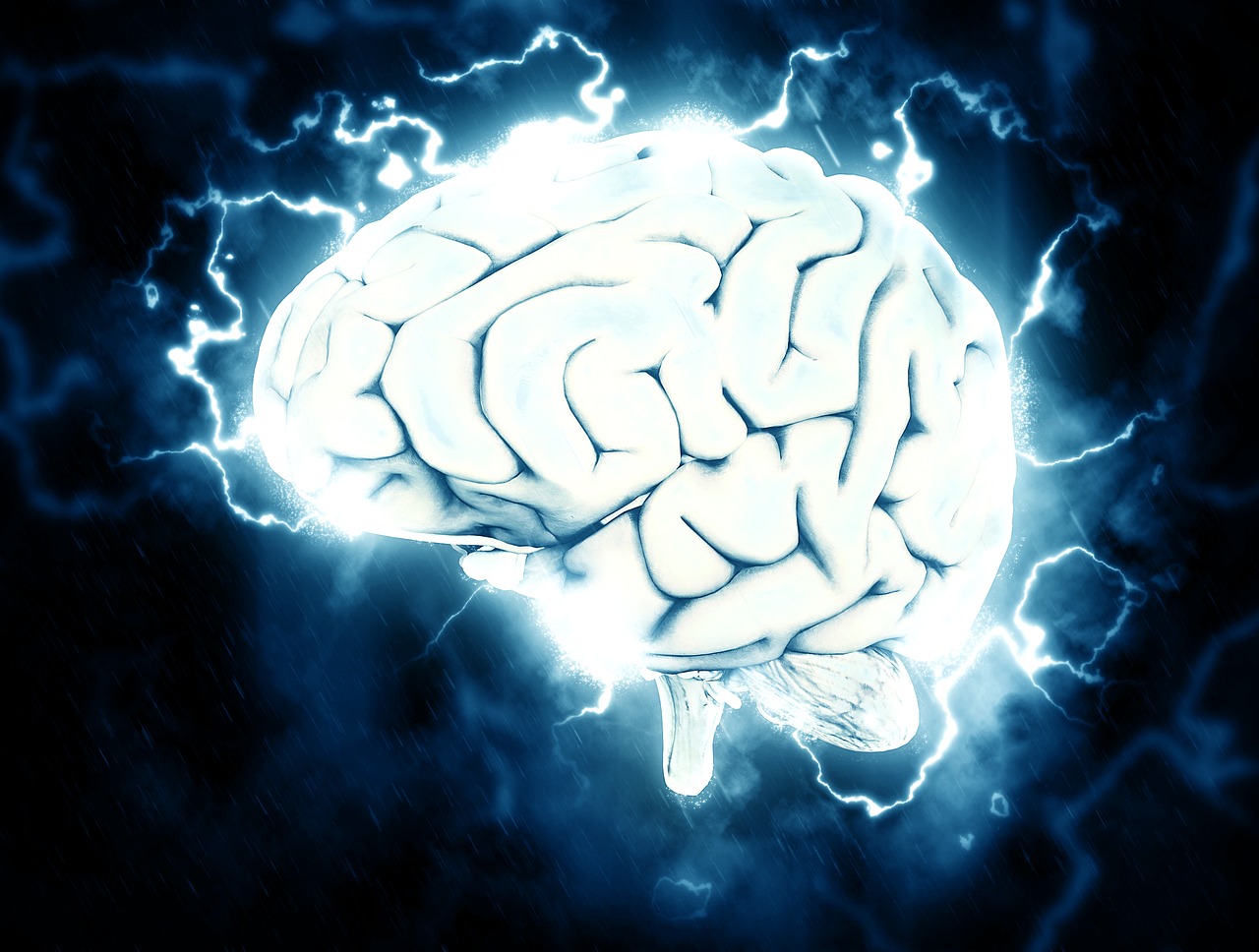 brain pixabay