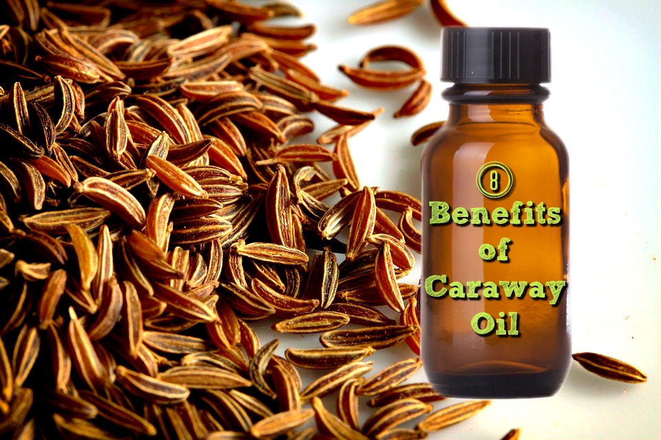caraway oil benefits caraway oil benefits