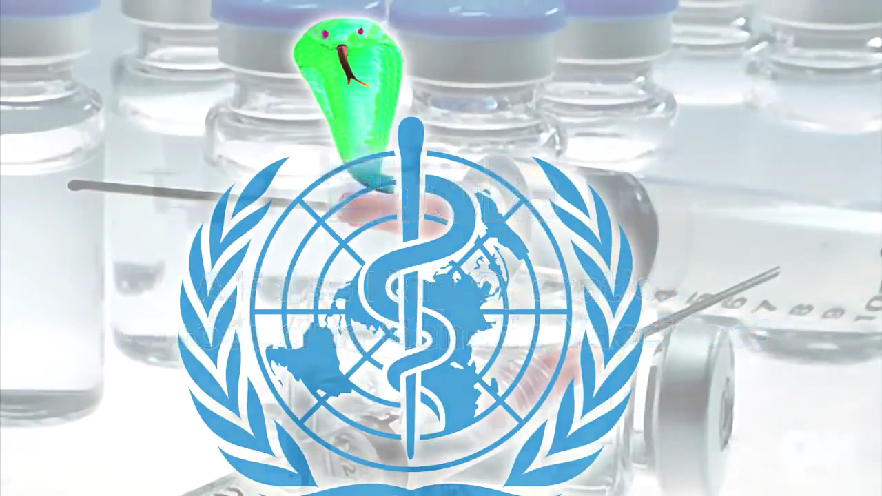Is The Ebola Vaccine A Genetic Bioweapon?