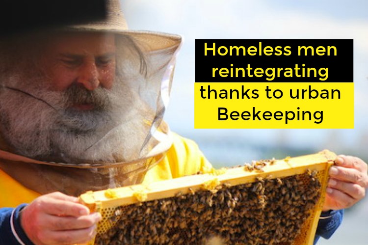 homeless beekeeping