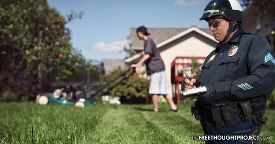 mowing-grass mowing-grass