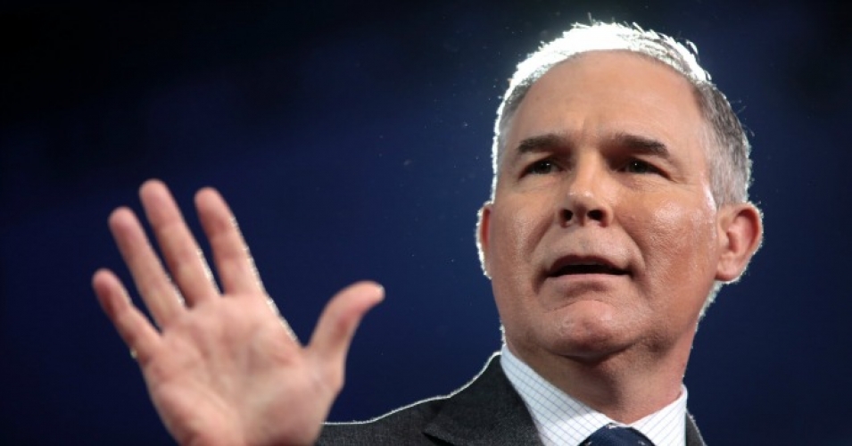 pruitt-dow-ceo-chlorpyrifos pruitt-dow-ceo-chlorpyrifos