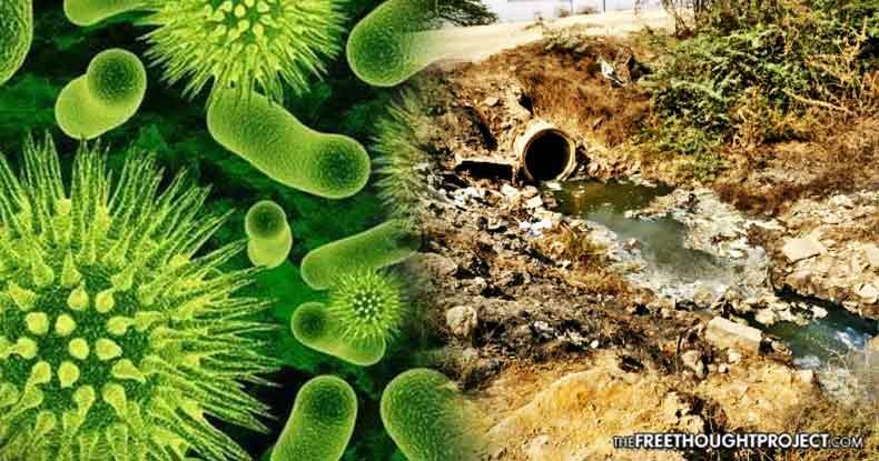 Alarming Study: Pharmaceutical Factory Pollution Accelerating Spread of Superbugs