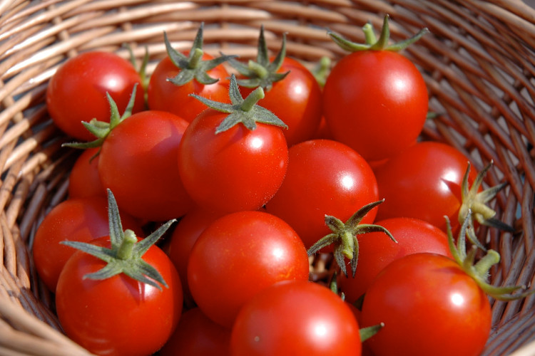 tomatoes.jpg tomatoes.jpg