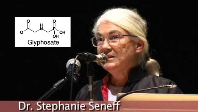 glyphosate stephanie seneff glyphosate stephanie seneff