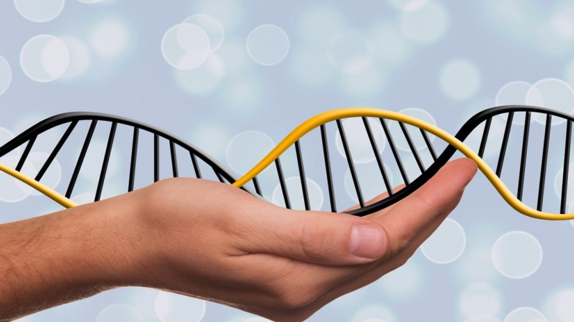 dna editing pixabay dna editing pixabay