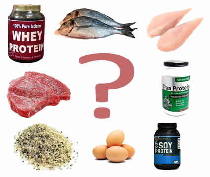 protein_types1