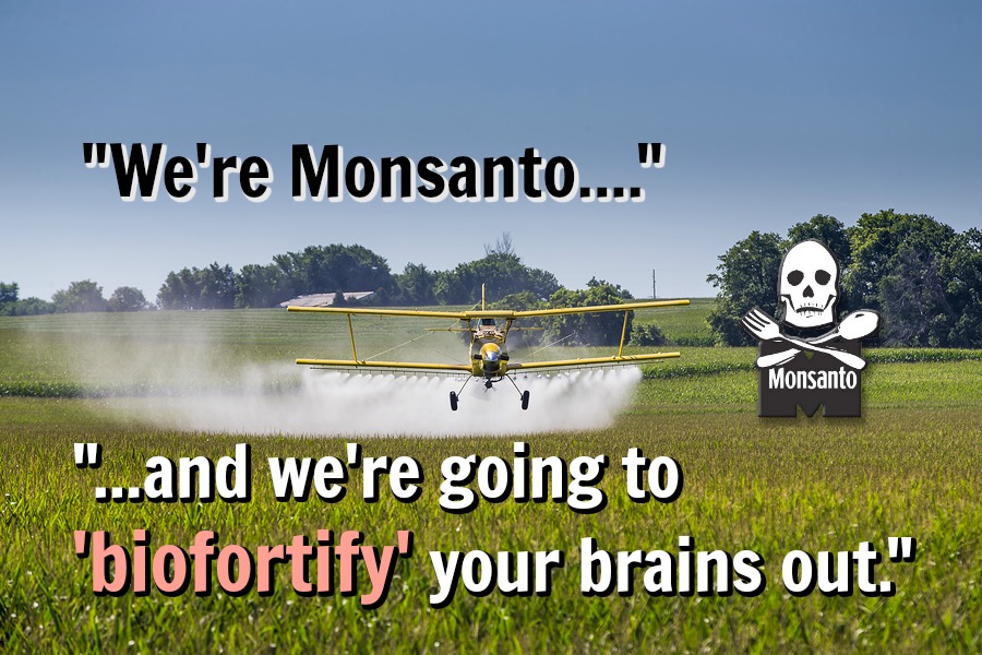 A crop duster applies chemicals to a field of vegetation. A crop duster applies chemicals to a field of vegetation.