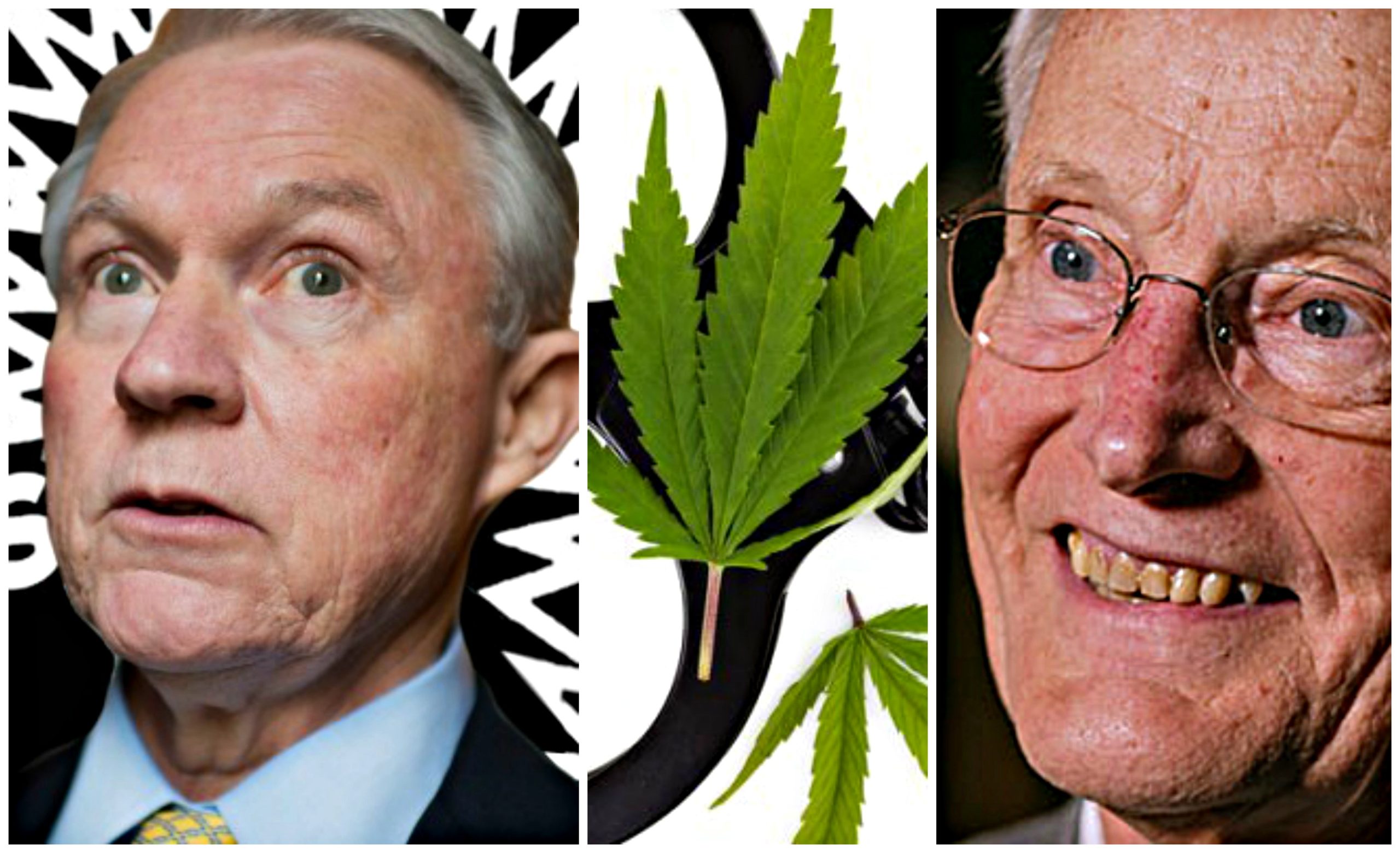 dupont marijuana drug testing