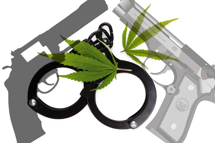 Pennsylvania Medical Marijuana Recipients Pressured to Choose Guns or Ganja