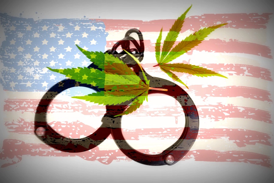 Marijuana leaves and handcuffs isolated on white background illegal drug. Marijuana leaves and handcuffs isolated on white background illegal drug.