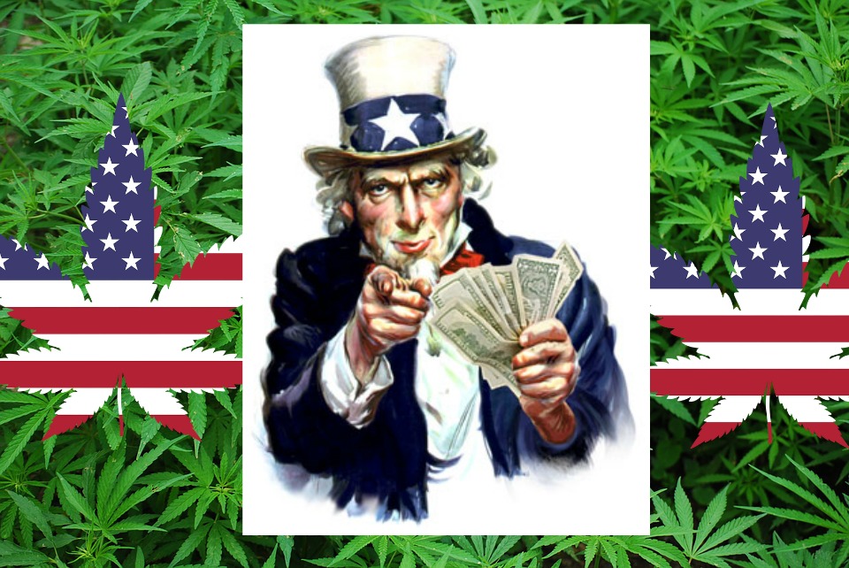uncle sam money marijuana
