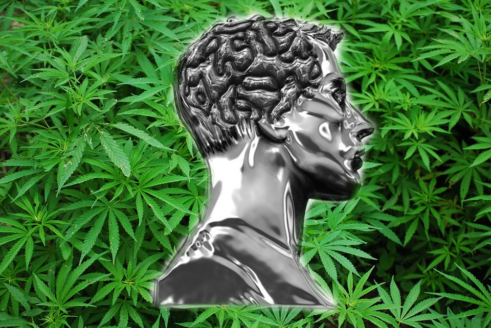 Alcohol Damages the Brain More, Marijuana Leaves It Unharmed