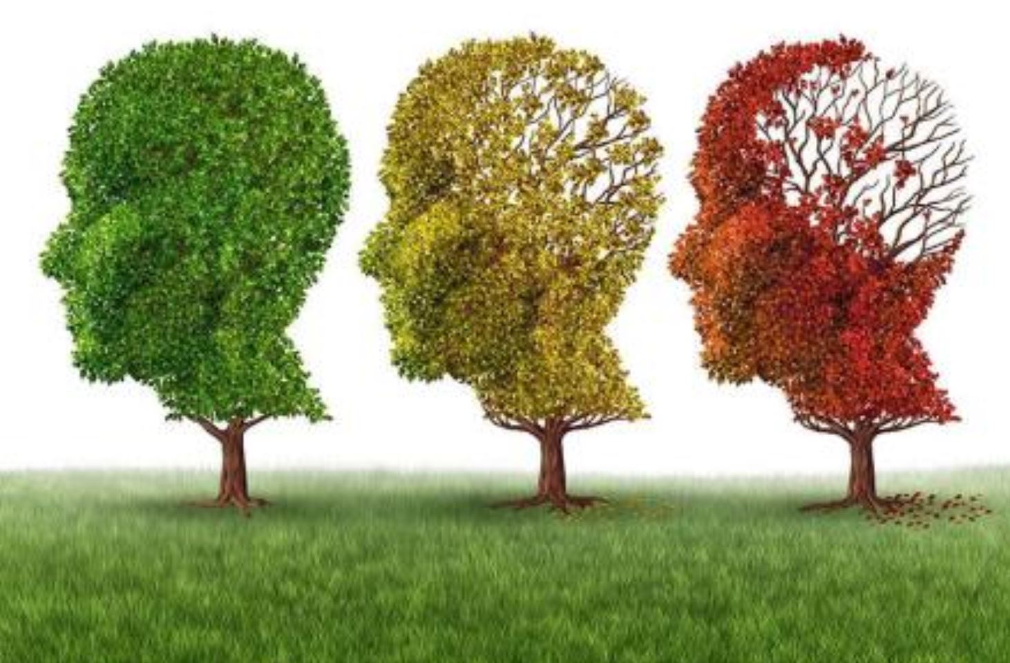 alzheimer's alzheimer's