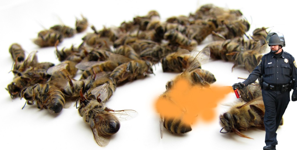 bees dead (1) bees dead (1)