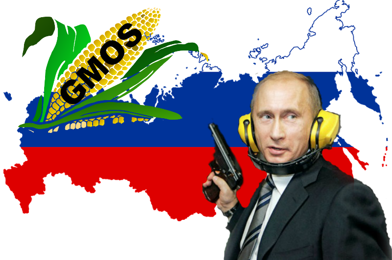 blaming russia anti gmo sentiment blaming russia anti gmo sentiment