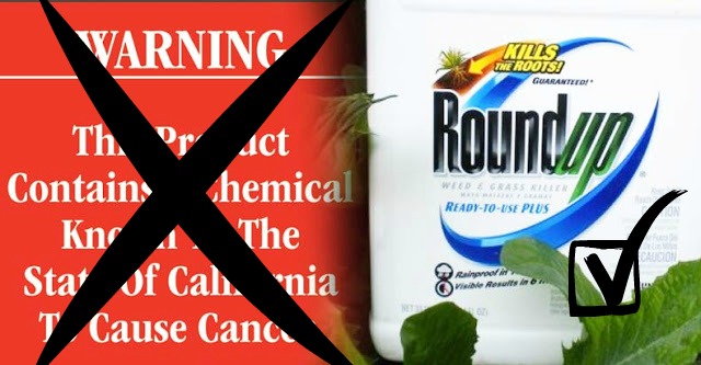 california-to-label-roundup-as-carcinogenic california-to-label-roundup-as-carcinogenic