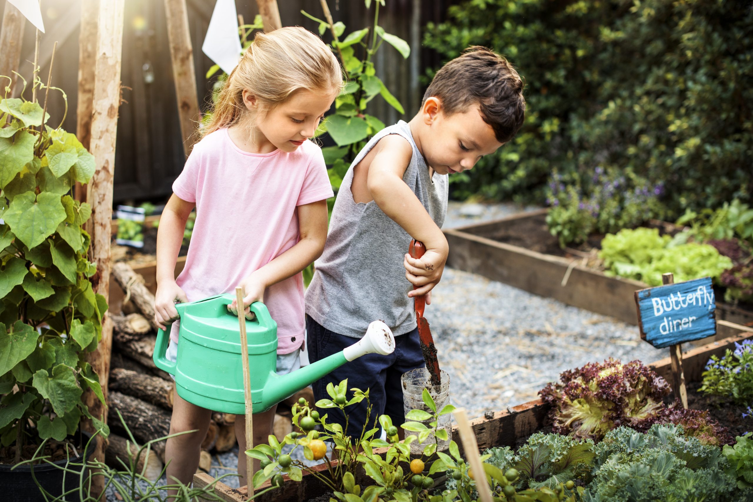 children_gardening children_gardening