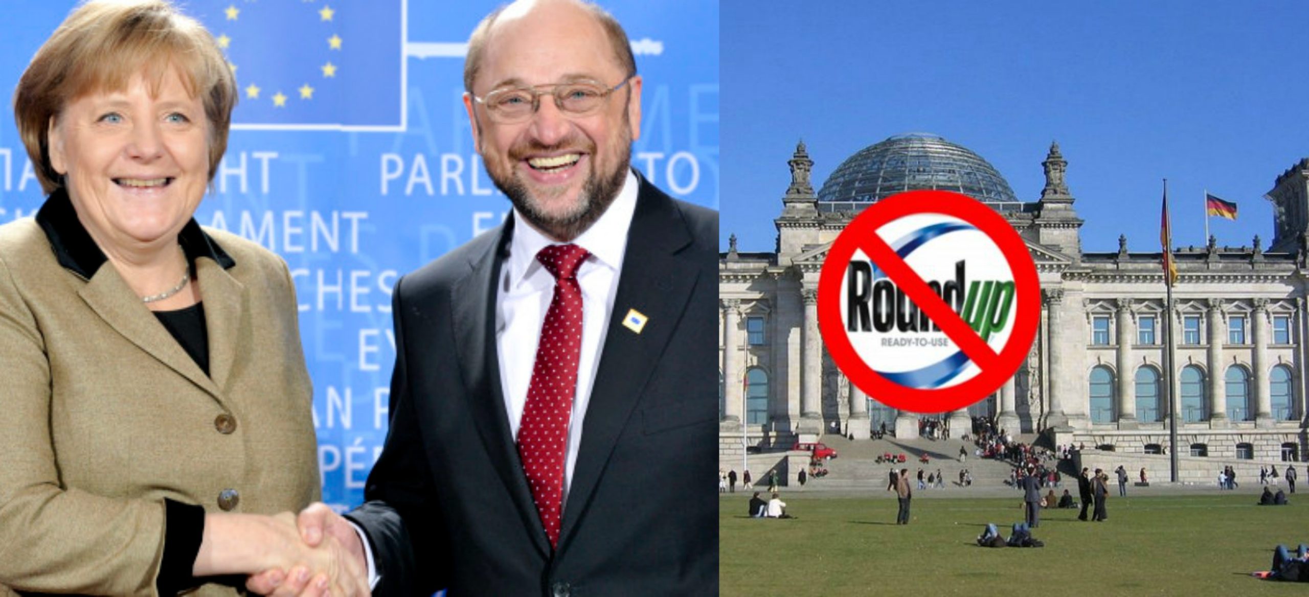 germany glyphosate germany glyphosate