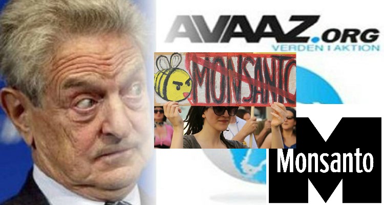 monsanto avaaz