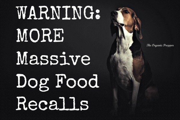 WARNING-MORE-Massive-Dog-Food-Recalls-600x400 WARNING-MORE-Massive-Dog-Food-Recalls-600x400