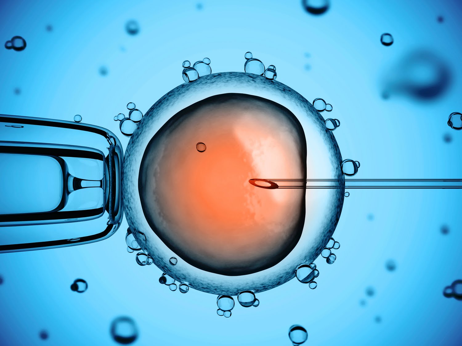 artificial embryo