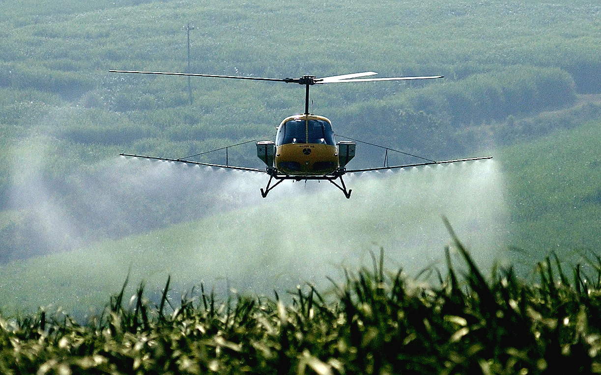 bee-killing pesticide china bee-killing pesticide china