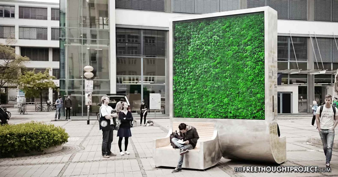 city-tree-air-1392x731 city-tree-air-1392x731