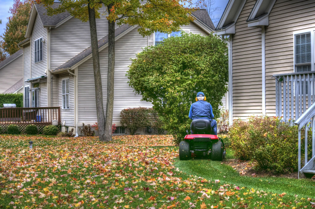 mulching-autumn-leaves mulching-autumn-leaves