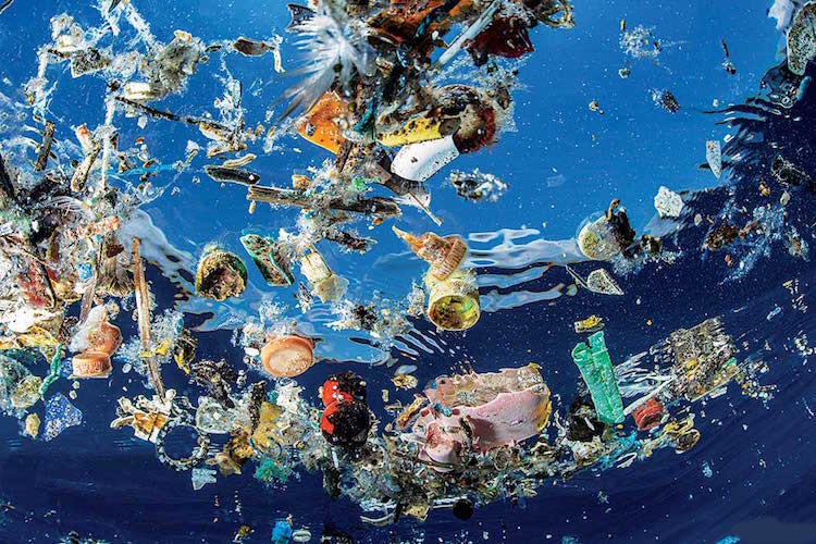 The Amount of Plastic in Oceans Will Triple within Seven Years, Says Major Report