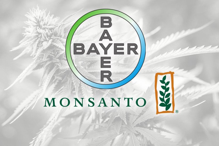 Bayer-Monsanto-Weed-2 Bayer-Monsanto-Weed-2