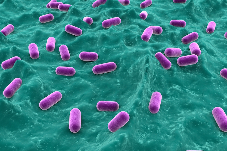 Probiotics-3 Probiotics-3