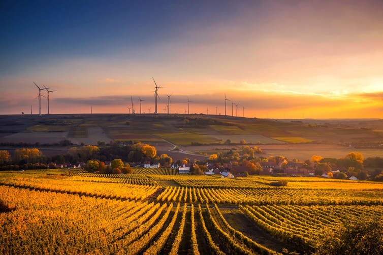 Organic Agriculture Is Going Mainstream, But Not the Way You Think It Is