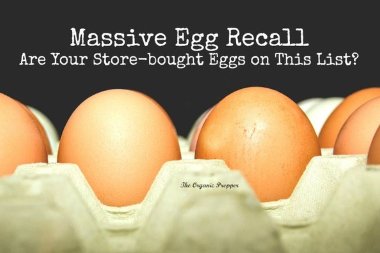 egg recall daisy luther