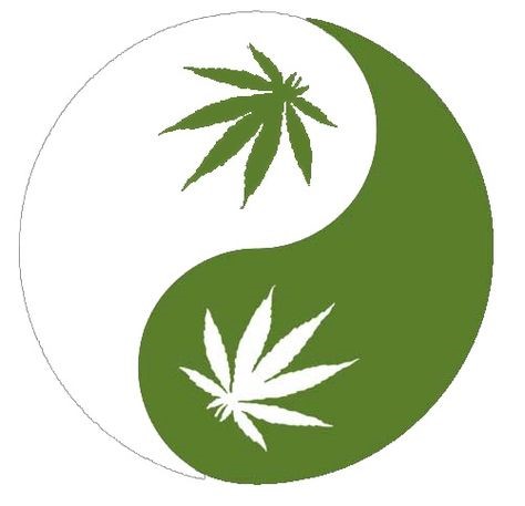 cannabis yin yang cannabis yin yang