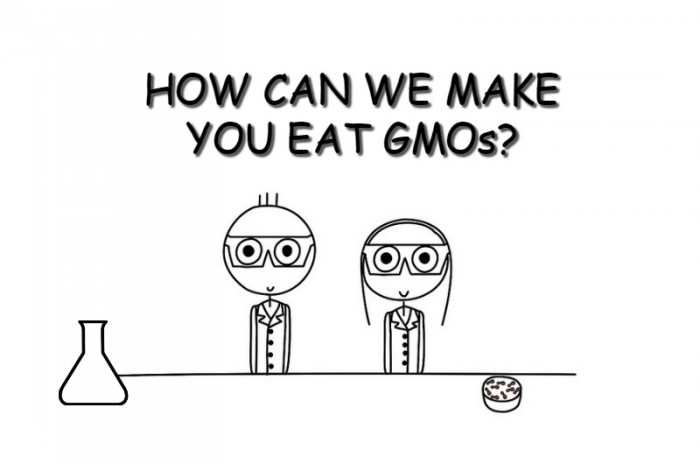 gmos-700x464 (1)