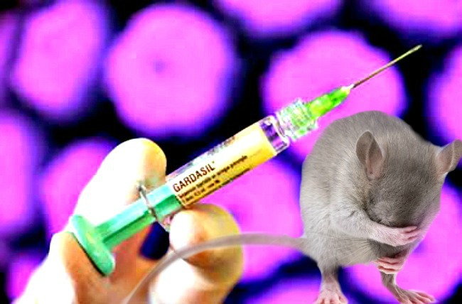 hpv-vaccine-injection hpv-vaccine-injection