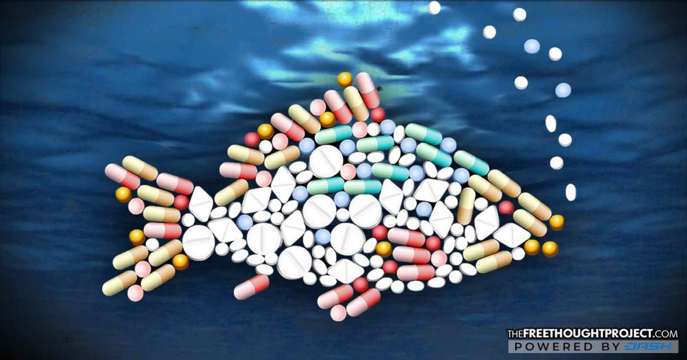 pharma-fish-1392x731 pharma-fish-1392x731